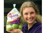 GRANNY SMITH APPLES 1.5KG Bag Hawkes Bay Grown